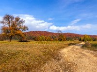 Beskid Niski
